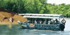 Whitsunday Crocodile Safari - Accommodation Main Beach 3