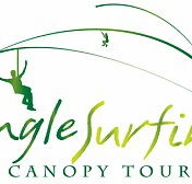Jungle Surfing Canopy Tours and Jungle Adventures Nightwalks - Accommodation Main Beach