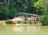 Rainforestation Nature Park - Accommodation Main Beach 4