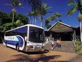 Rainforestation Nature Park - Accommodation Main Beach 5