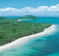 Reef and Rainforest Connections