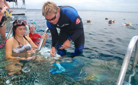 Reef Magic Cruises - Accommodation Main Beach 4