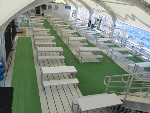 Reef Magic Cruises - Accommodation Main Beach 5