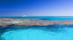 Reef Jet Cruises - Accommodation Main Beach 0