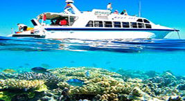 Reef Jet Cruises - Accommodation Main Beach 2