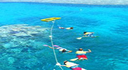 Reef Jet Cruises - Accommodation Main Beach 3