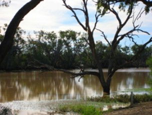 Allan Tannock Weir - Accommodation Main Beach 2