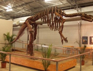 Diamantina Lakes QLD Accommodation Main Beach