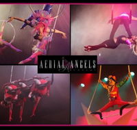Aerial Angels - Accommodation Main Beach