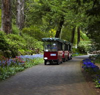 Araluen Botanic Park - Accommodation Main Beach