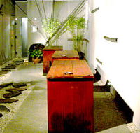 Koi - Accommodation Main Beach