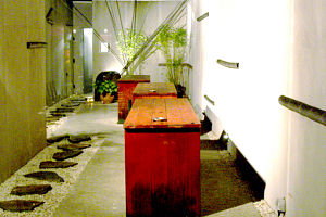 Koi - Accommodation Main Beach 0