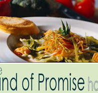 Land of Promise Hotel - Accommodation Main Beach