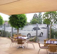 Coach  Horses - Accommodation Main Beach