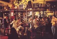 Finn MacCools - Accommodation Main Beach 2