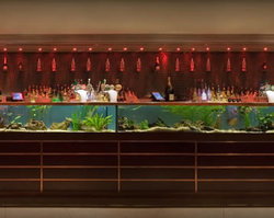 AB Hotel - Accommodation Main Beach 2