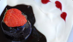 Bushman Hotel - Accommodation Main Beach 2