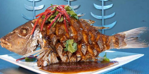 Fish On Parkyn - Accommodation Main Beach 5