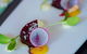Absynthe Restaurant - thumb 1