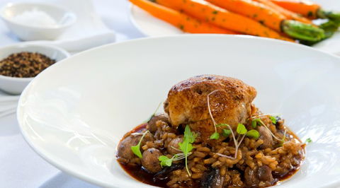 Rococo Noosa - Accommodation Main Beach 5