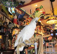 A Friend In Hand - Accommodation Main Beach