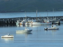Apollo Bay VIC Accommodation Main Beach
