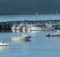 The Apollo Bay Hotel - Accommodation Main Beach
