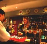 Criterion Hotel - Oak  Ivy Cellar Bar - Accommodation Main Beach