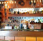 Safari Cocktail Bar - Accommodation Main Beach