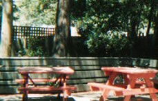 The Hawthorn Hotel - Accommodation Main Beach 2