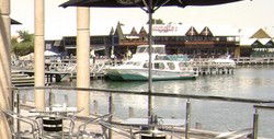 The Stage Door Bar & Brasserie - Accommodation Main Beach 3