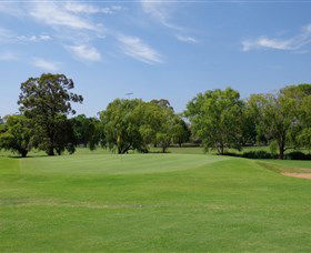 Singleton Golf Club - Accommodation Main Beach 1