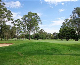 Singleton Golf Club - Accommodation Main Beach 0