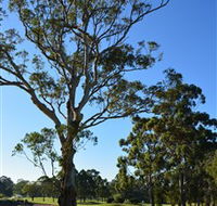 Ryde-Parramatta Golf Club - Accommodation Main Beach