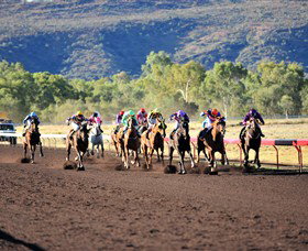 Alice Springs Turf Club - Accommodation Main Beach 6
