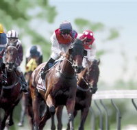 Colac Turf Club - Accommodation Main Beach