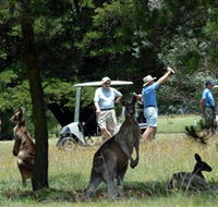 Glen Innes Golf Club - Accommodation Main Beach