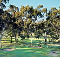 Tanunda Pines Golf Club - Accommodation Main Beach