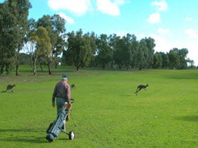 Louth Bay SA Accommodation Main Beach