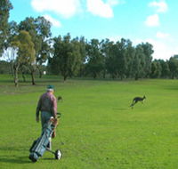 Coffin Bay Golf Club - Accommodation Main Beach