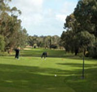 Mount Gambier Golf Club - Accommodation Main Beach