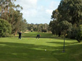Mount Gambier Golf Club - Accommodation Main Beach 0