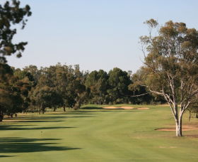 Tocumwal Golf Club - Accommodation Main Beach 1