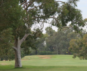 Tocumwal Golf Club - Accommodation Main Beach 2