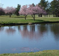RMC Golf Club - Accommodation Main Beach