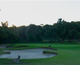 Anglesea Golf Club - Accommodation Main Beach 8