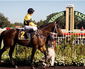 Hawkesbury Race Club - Accommodation Main Beach 2