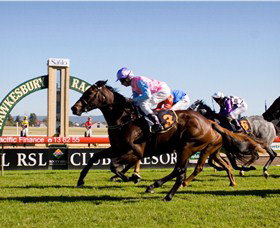 Hawkesbury Race Club - Accommodation Main Beach 1