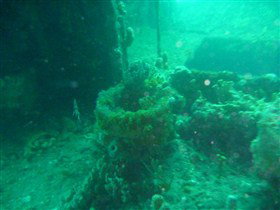 Wallaroo Scuba Club - Accommodation Main Beach 0