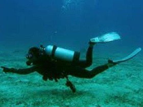 Wallaroo Scuba Club - Accommodation Main Beach 1